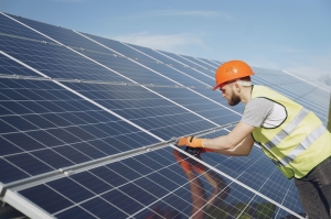 Maximizing Efficiency and Longevity: The Importance of Solar Panel Cleaning and Bird Proofing